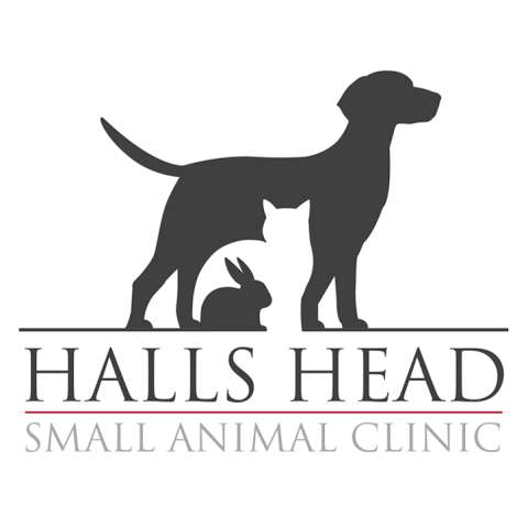 Photo: Halls Head Small Animal Clinic